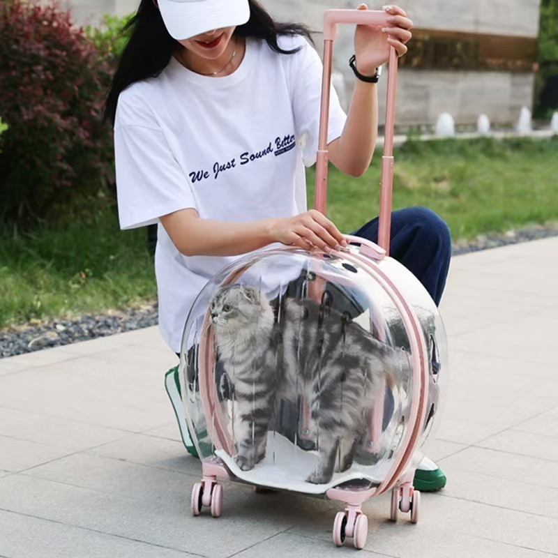 Outdoor Dog Carrier Bag Convenient Handheld Pet Travel Carrier Open Closure Pull-Rod Bubble Rolling Luggage for Cats