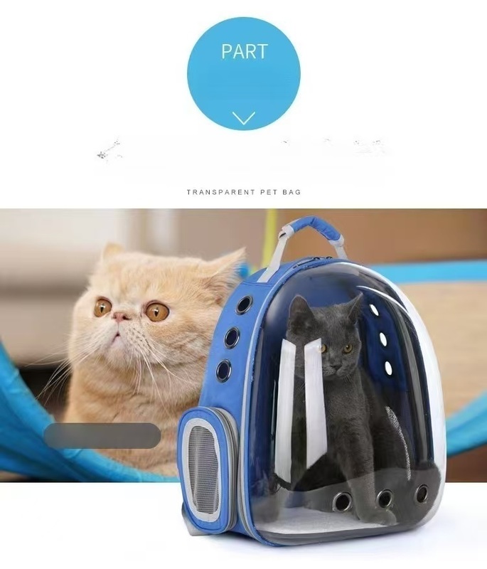 All-in-One Transparent Cat Space Capsule Pet Travel Backpack Breathable Canvas Dual-Shoulder Design for Easy Outings