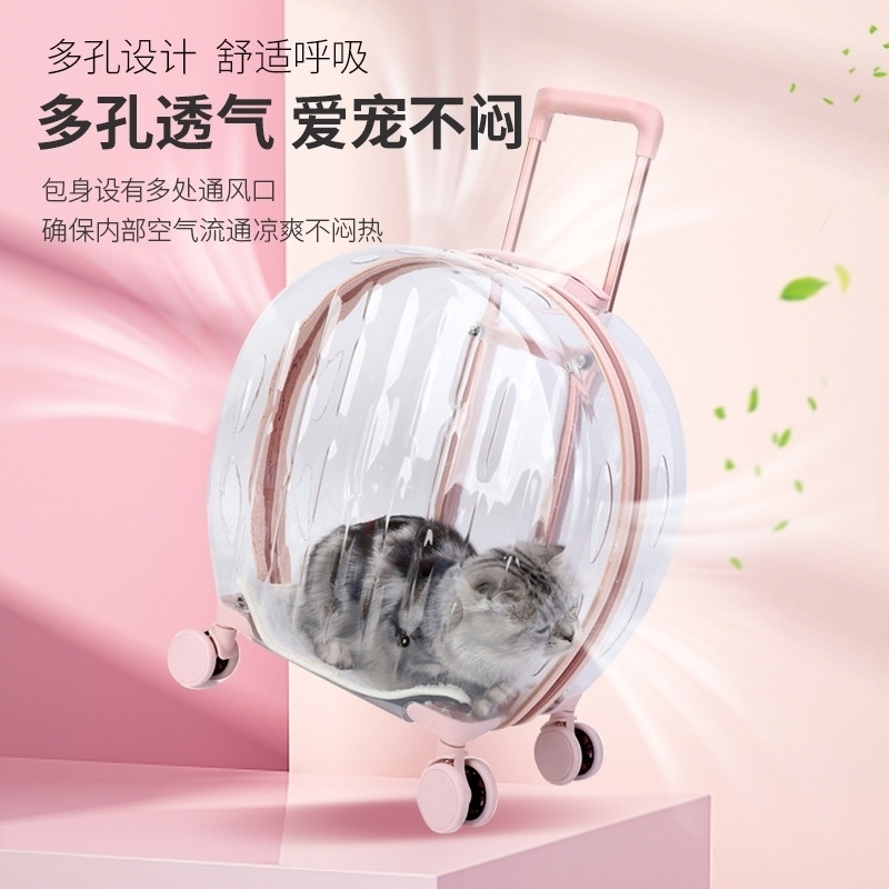 Anti-Theft Clear Pet Carrier Portable Pet Holder Waterproof Travel Suitcase Polyester Lining Material Breathable Pet Carry