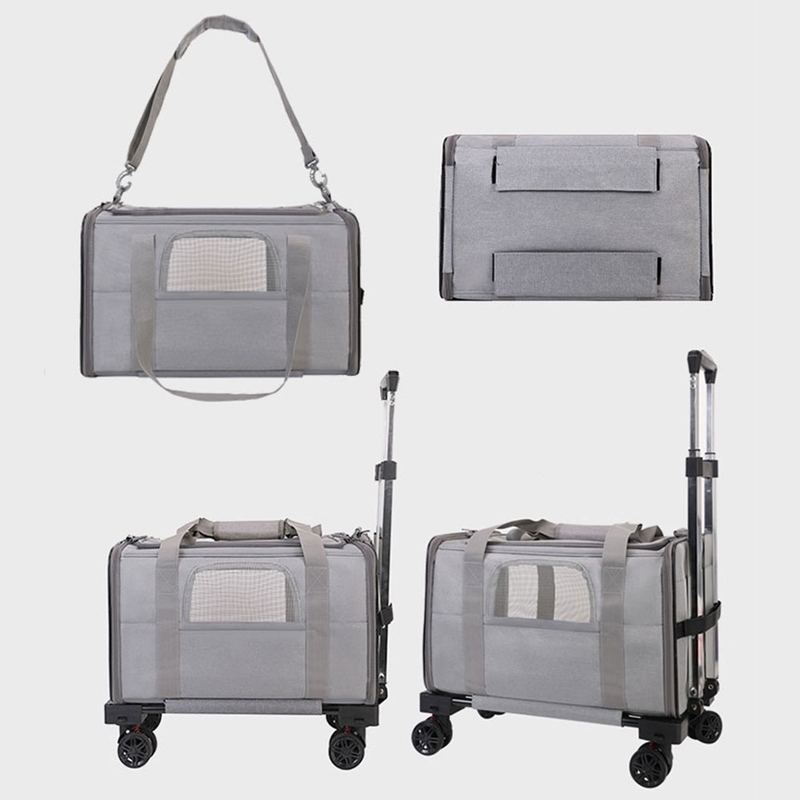 PC ABS Material Portable Pet Travel Bag Convenient Hand-Carry for Cats and Small Dogs on the Go Feeding Time Reminder Included