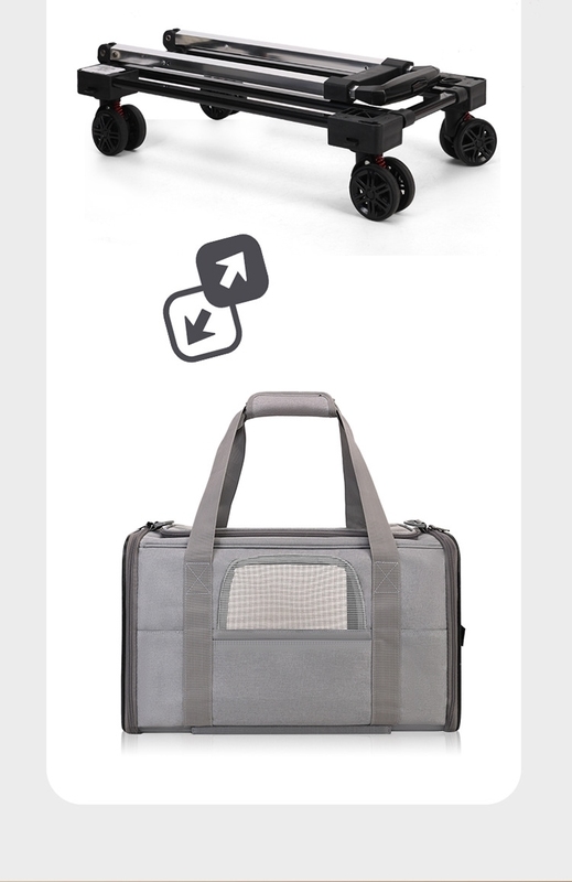 PC ABS Material Portable Pet Travel Bag Convenient Hand-Carry for Cats and Small Dogs on the Go Feeding Time Reminder Included