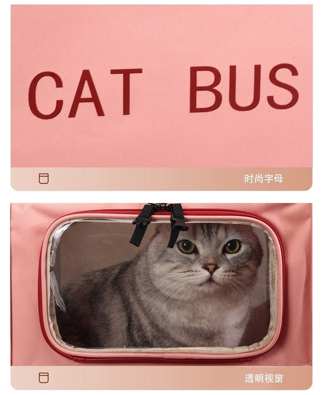 Carruaje 210D Poliéster Cuatro ruedas Caja para dos gatos gordos Bolso de viaje plegable portátil para mascotas