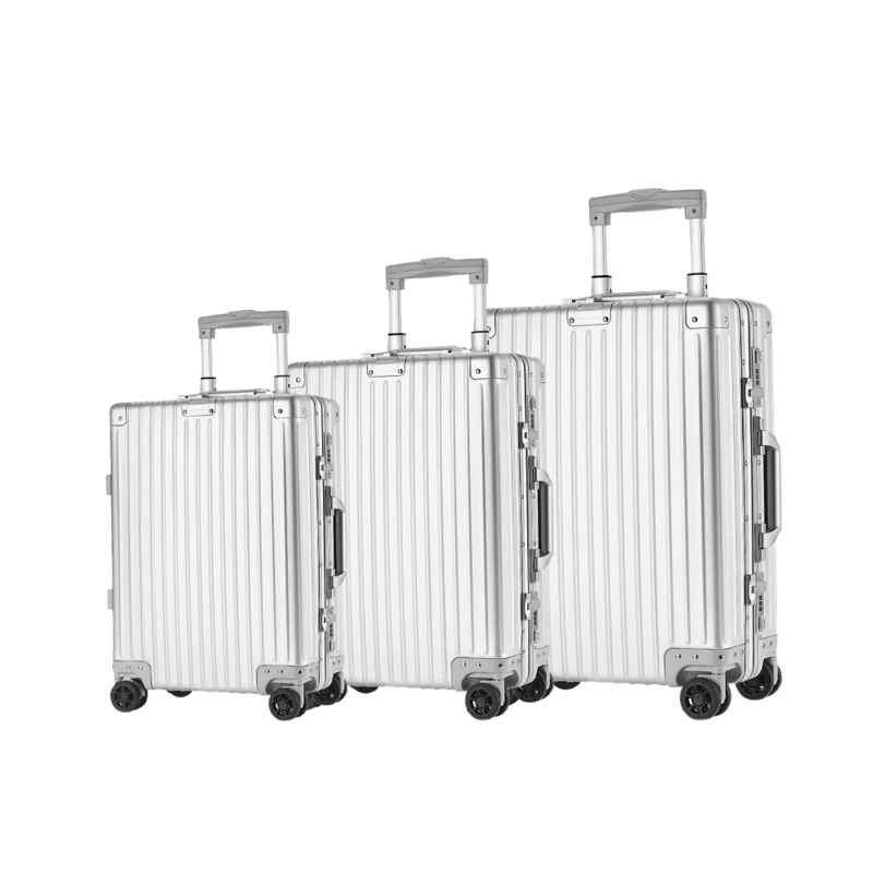 Modern Travel Companion TSA Lock and 360° Spinner Wheels on Lightweight Aluminum Frame Rolling Luggage for Holiday Trips
