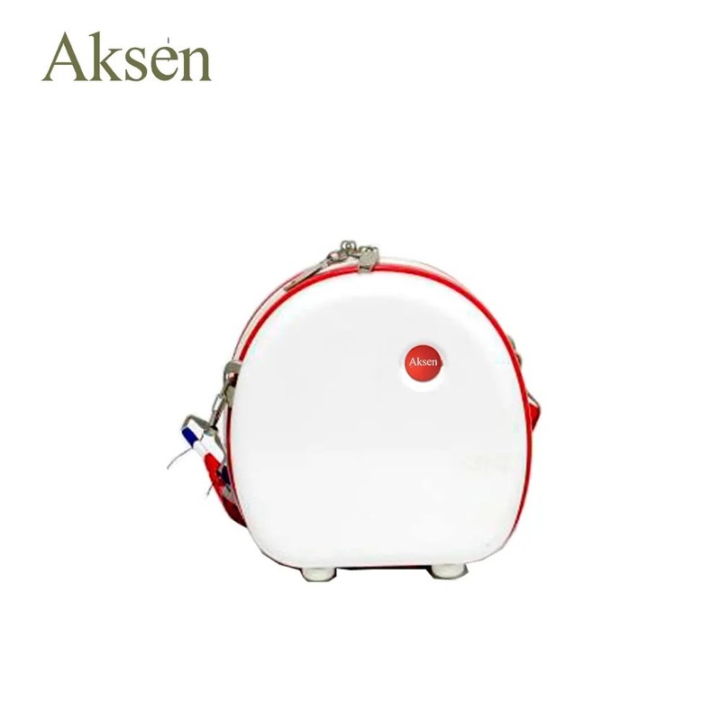 Cute Round Spinner Wheels Student Travel Luggage Unisex Combination Lock Suitcase for Trips