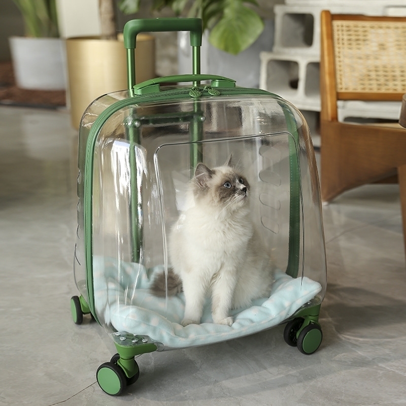 PC Material Clear Capsule Pet Travel Bag with Trolley Wheel Large Capacity Cat Dog Luggage Portable Transparent Holder