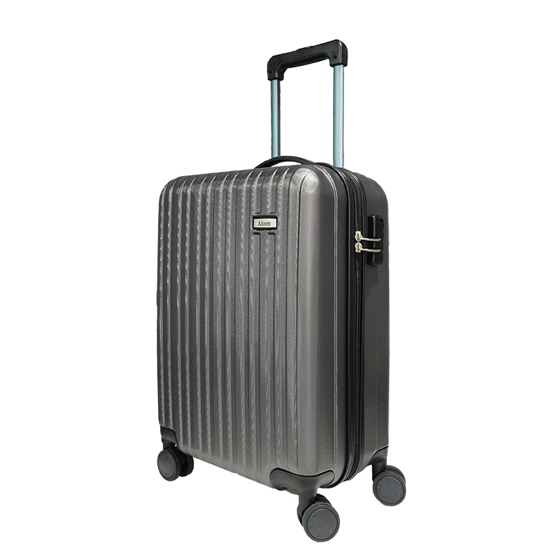 20''/24'' Luxury 360° Spinner Carry-On Luggage for Men and Women Quiet Password Lock Lightweight Modern Business Student Suitcase Travel